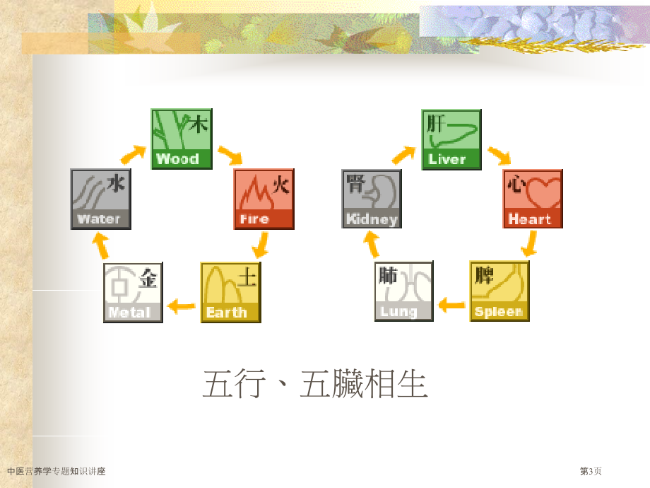 中医营养学专题知识讲座.pptx_第3页