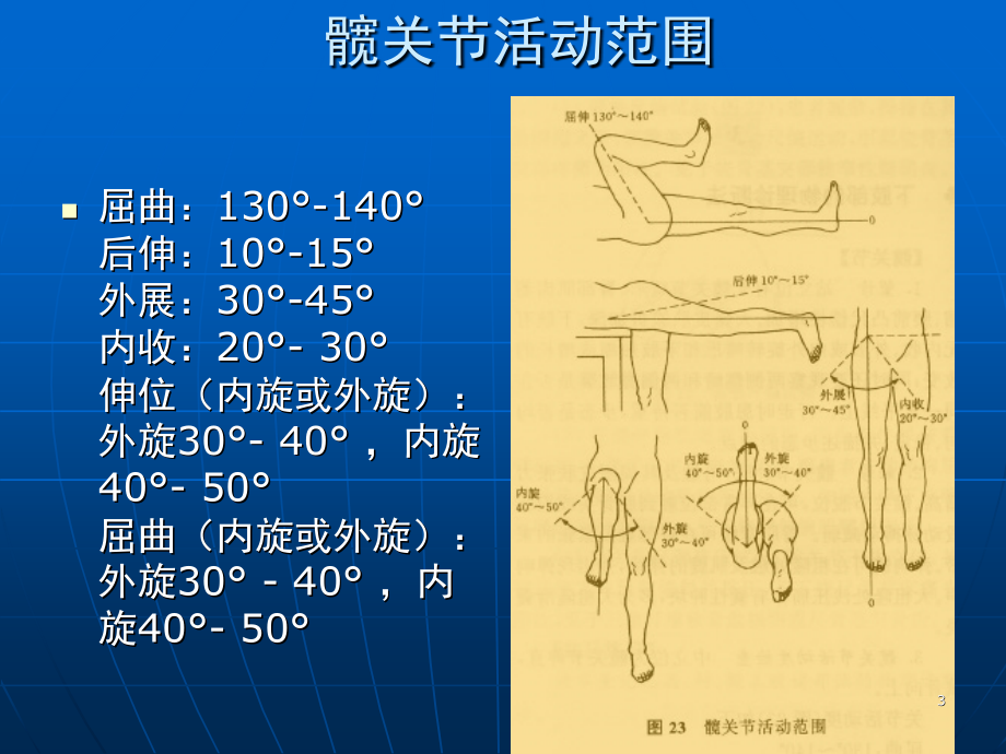 髋关节体格检查(课堂PPT).ppt_第3页