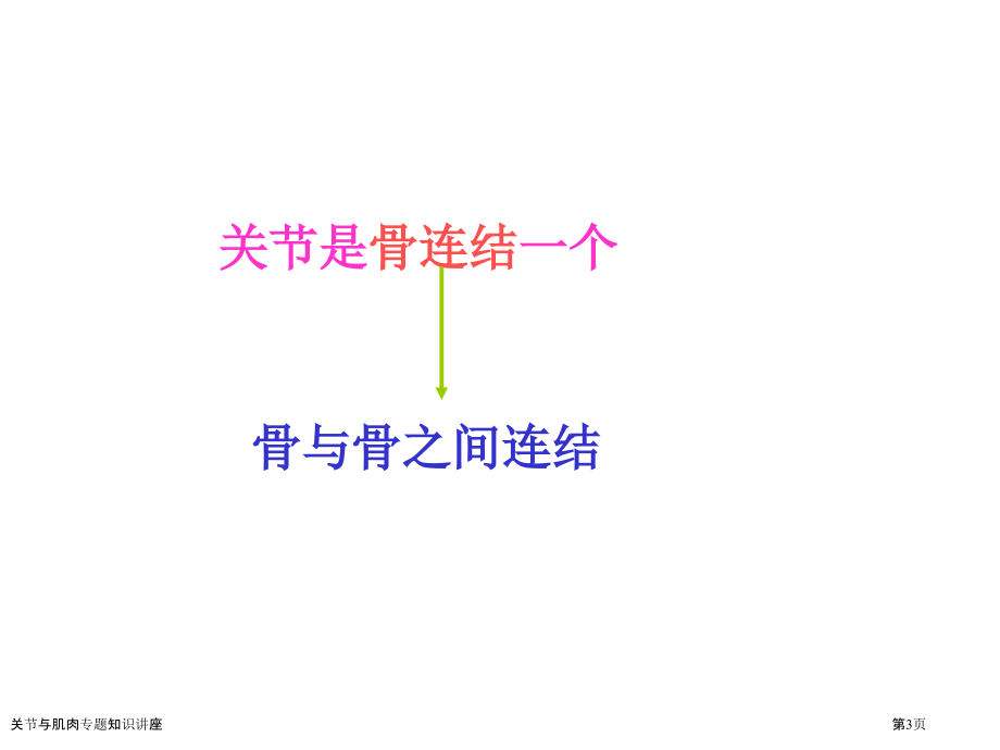 关节与肌肉专题知识讲座.pptx_第3页