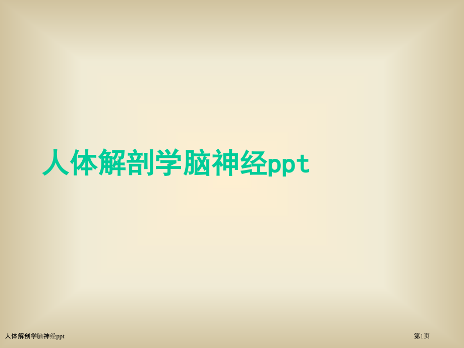 人体解剖学脑神经ppt.pptx_第1页