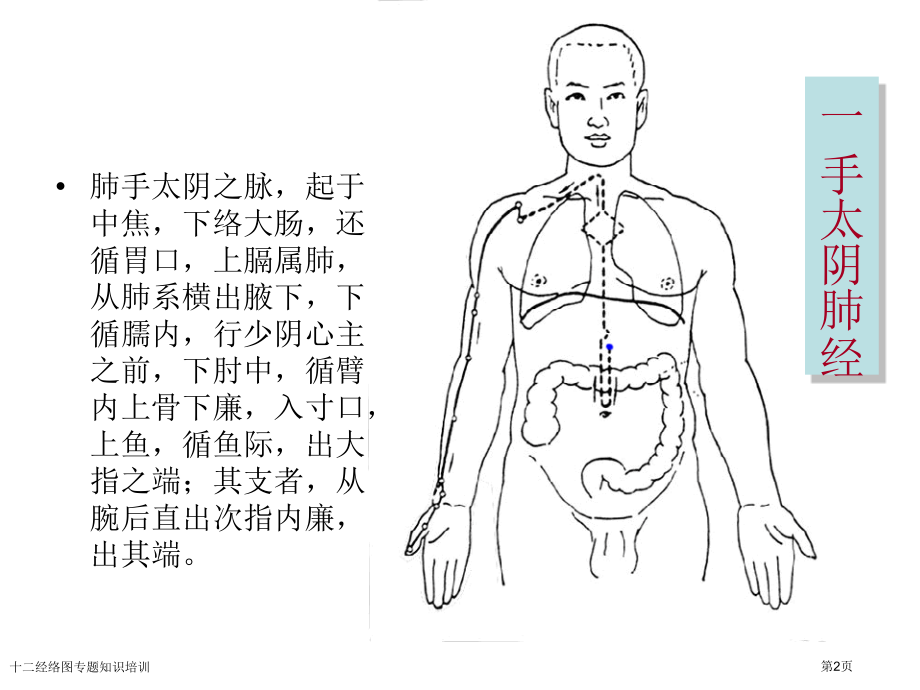 十二经络图专题知识培训.pptx_第2页