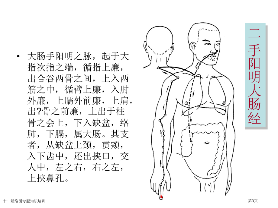 十二经络图专题知识培训.pptx_第3页