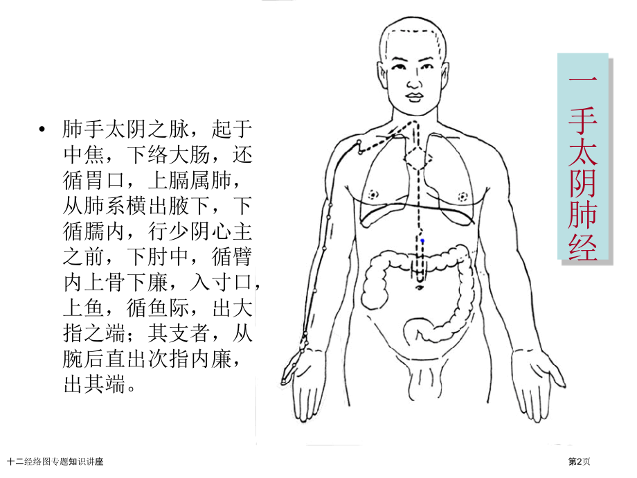 十二经络图专题知识讲座.pptx_第2页