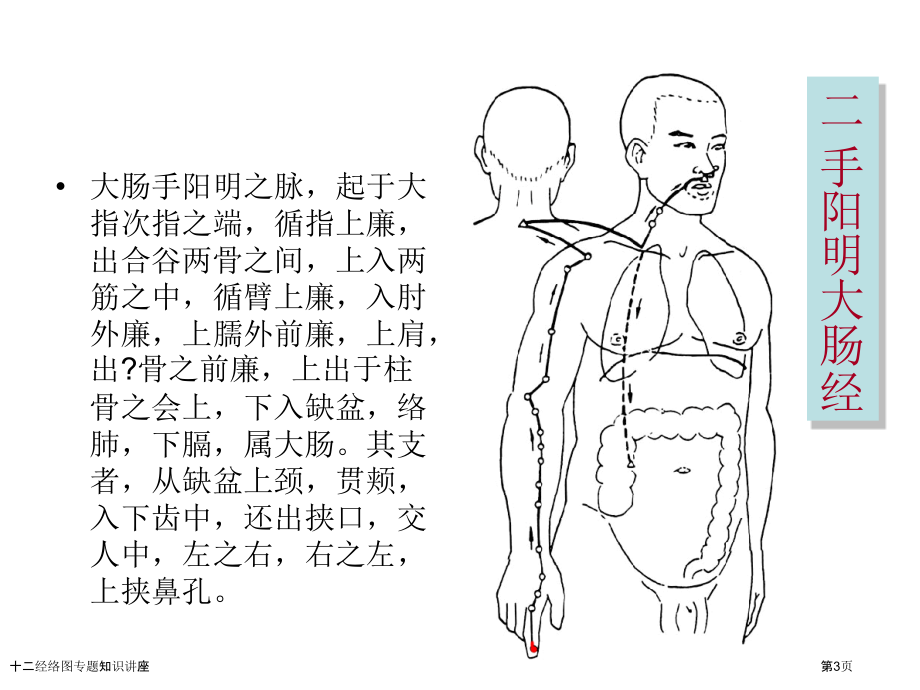 十二经络图专题知识讲座.pptx_第3页