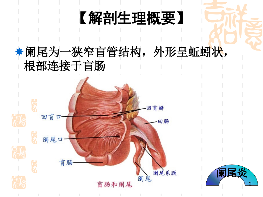 阑尾炎PPT参考课件.ppt_第2页