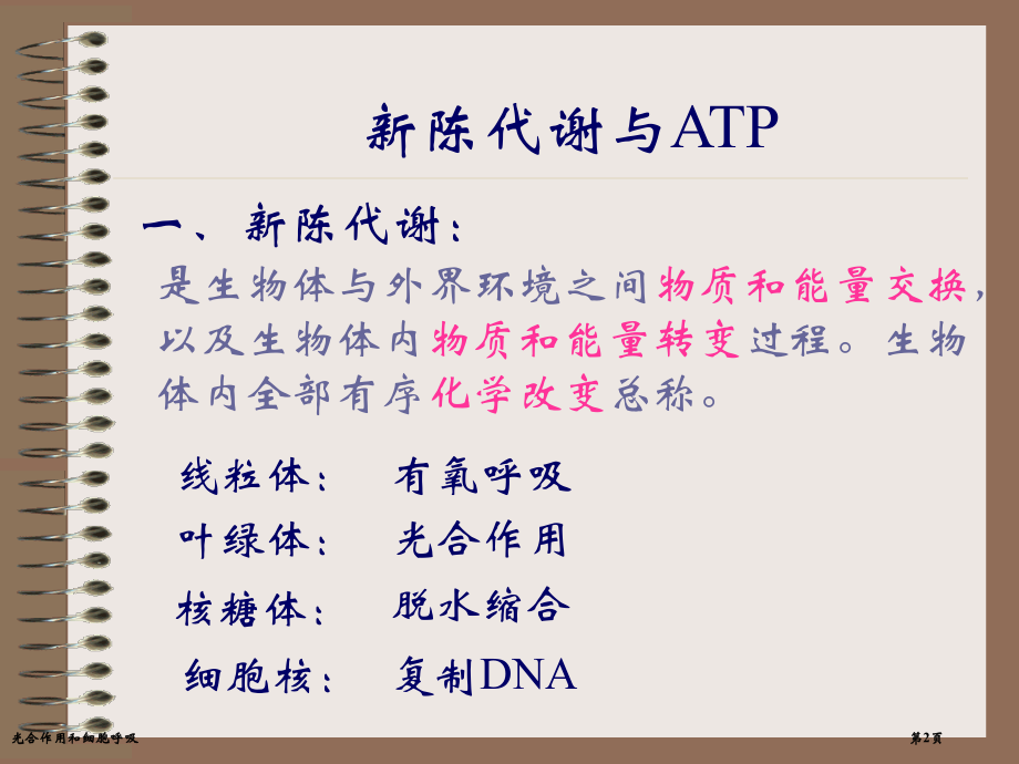 光合作用和细胞呼吸.pptx_第2页