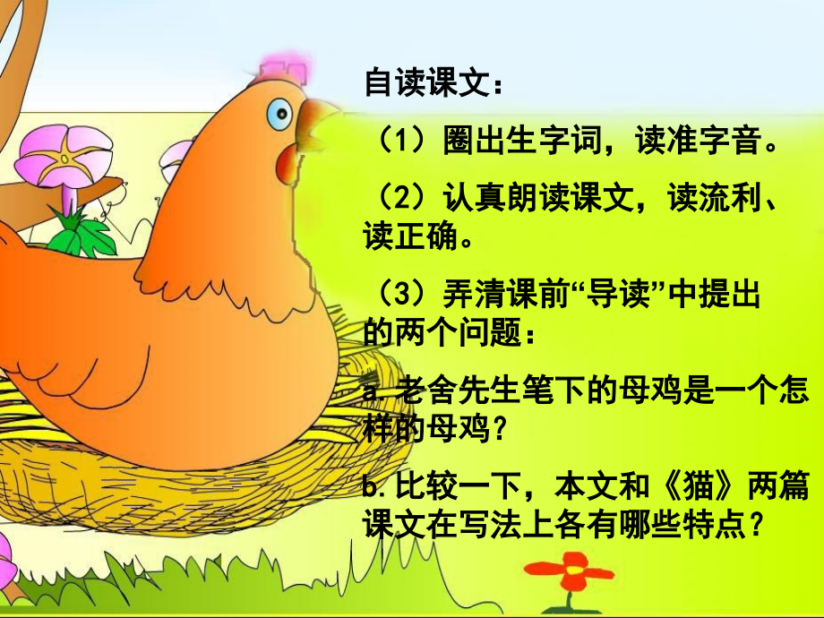 《母鸡》教学课件医学PPT课件.ppt_第3页