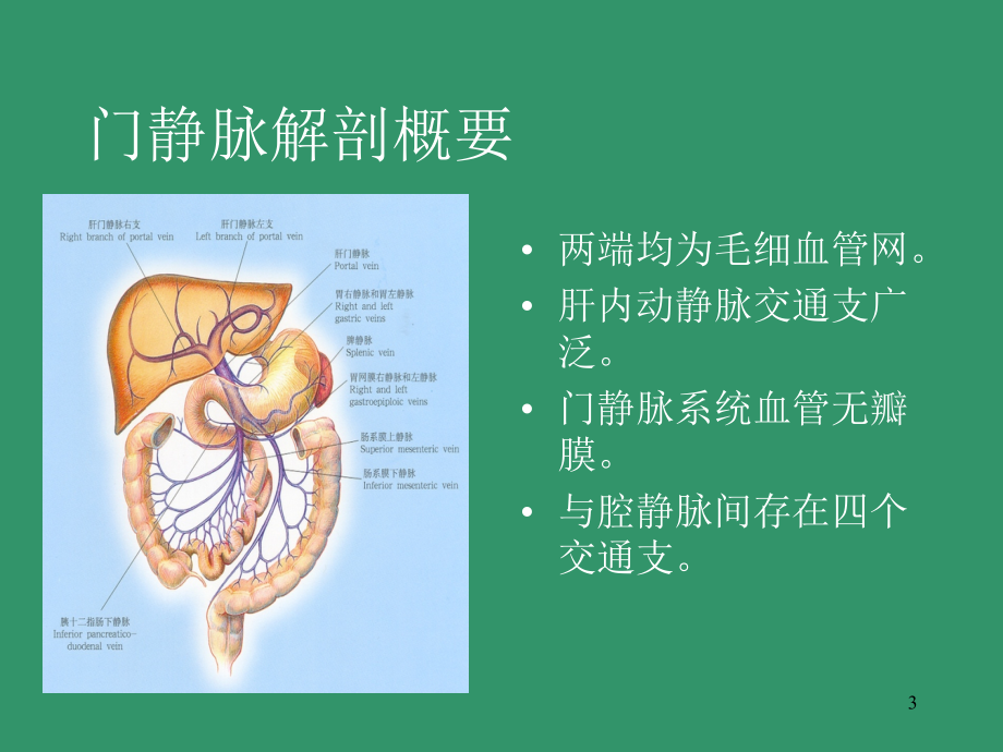 门静脉高压症.PPT参考课件.ppt_第3页