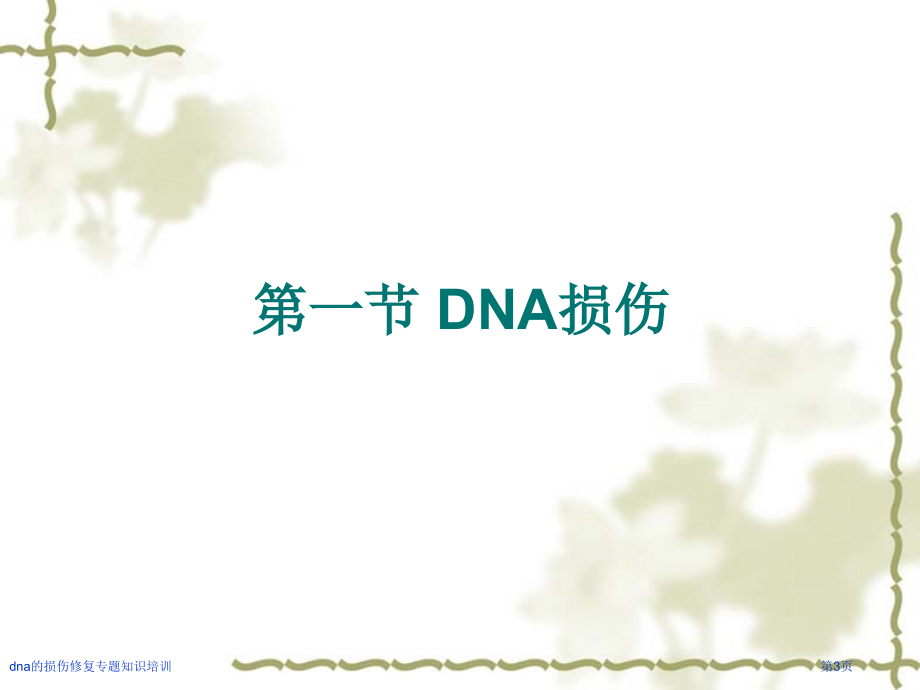 dna的损伤修复专题知识培训.pptx_第3页