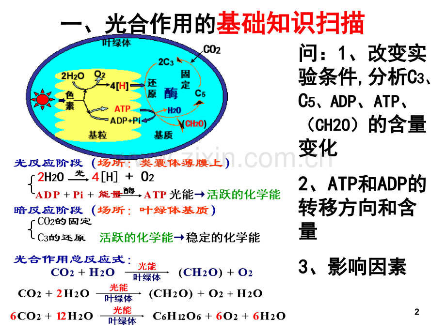 高考二轮复习光合作用与呼吸作用专题(课堂PPT).ppt_第2页