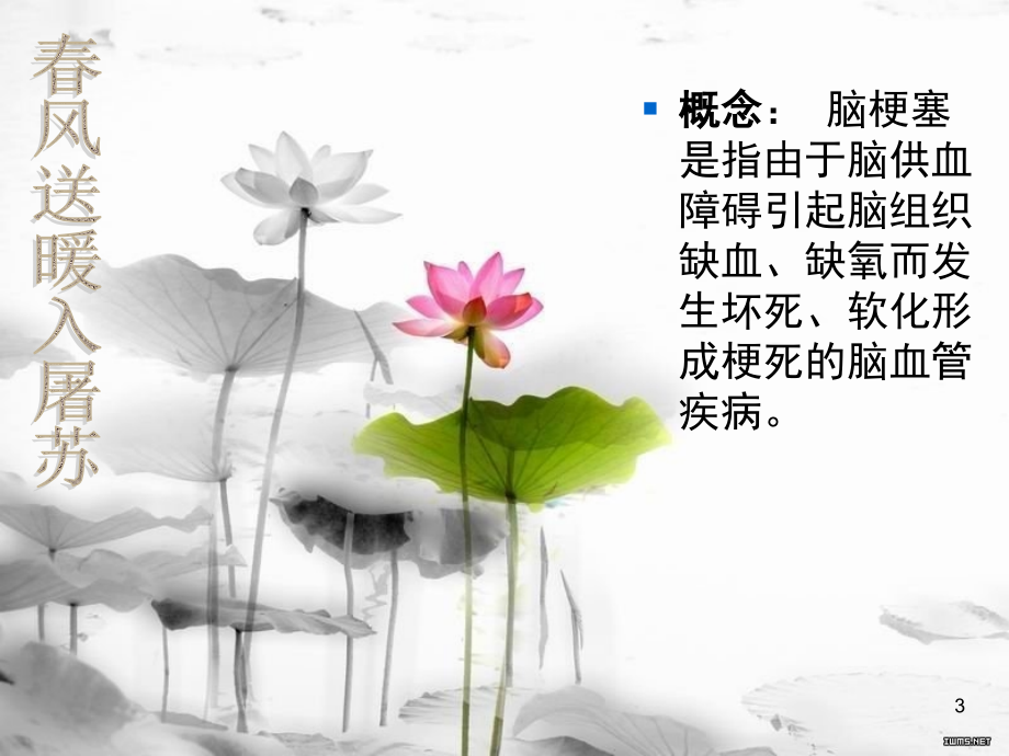 脑梗塞的健康教育(课堂PPT).ppt_第3页