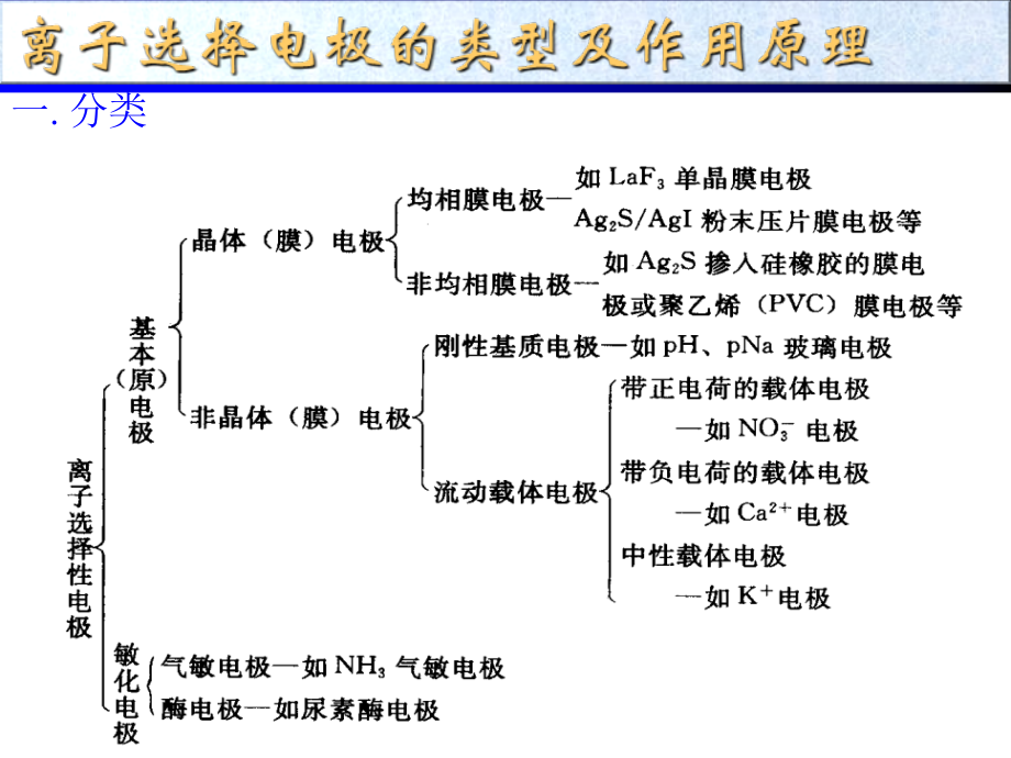 离子选择性电极PPT参考课件.ppt_第1页