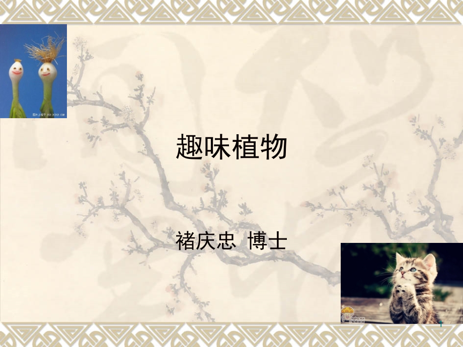 趣味植物(课堂PPT).ppt_第1页