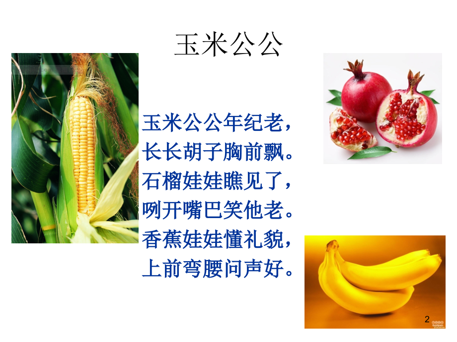 看图说话植物(花).ppt_第2页