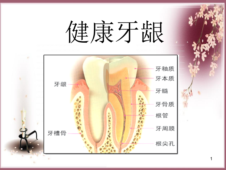 牙齿保健知识讲座.ppt_第1页