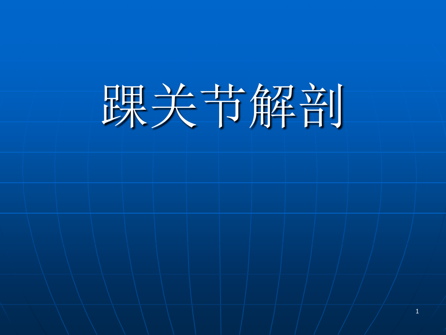 踝关节解剖(详解)PPT学习课件.ppt_第1页