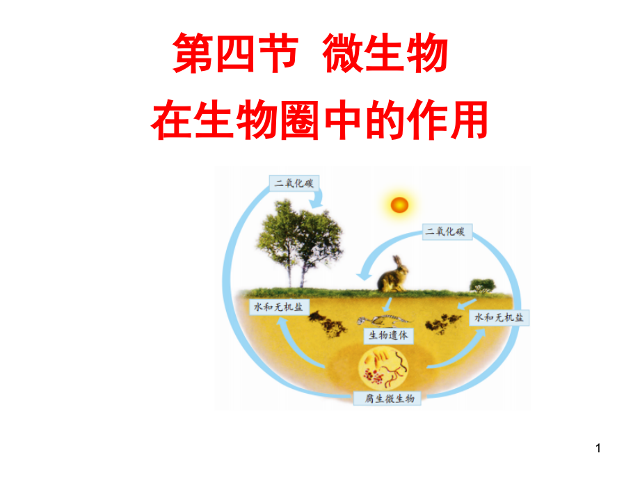 济南版微生物在生物圈中的作用(课堂PPT).ppt_第1页