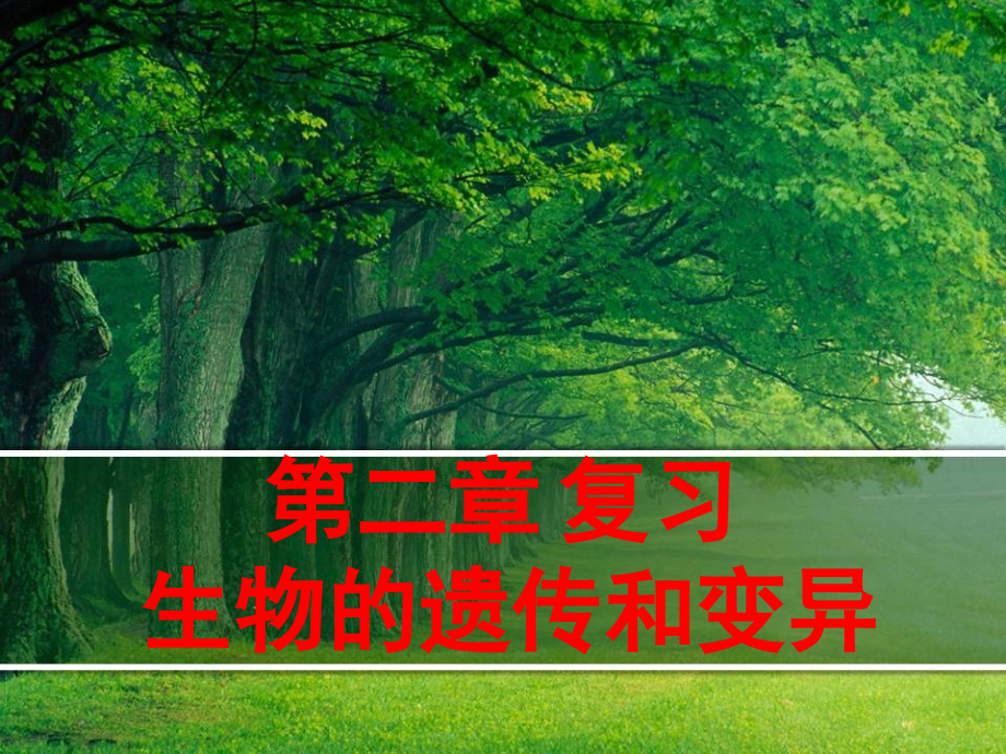 生物的遗传和变异(课堂PPT).ppt_第1页