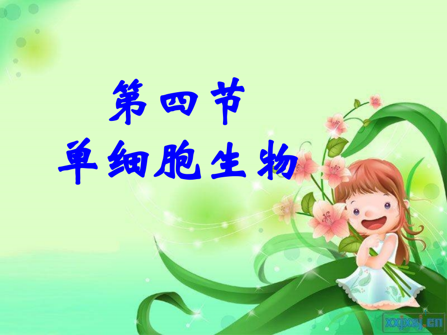 观察草履虫ppt.ppt_第1页