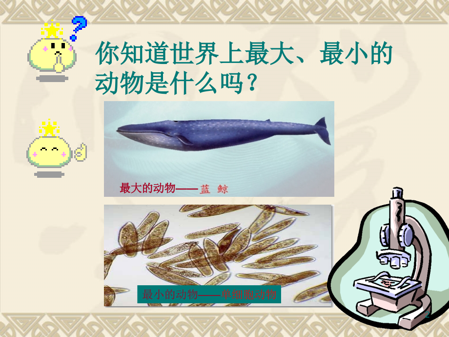 观察草履虫ppt.ppt_第2页