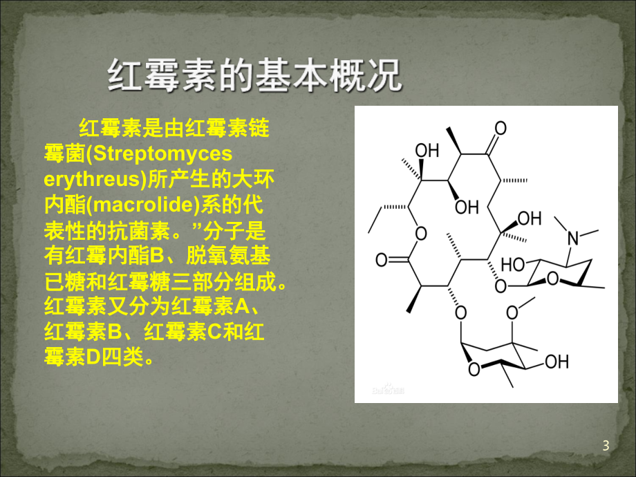 红霉素的制备工艺(课堂PPT).ppt_第3页