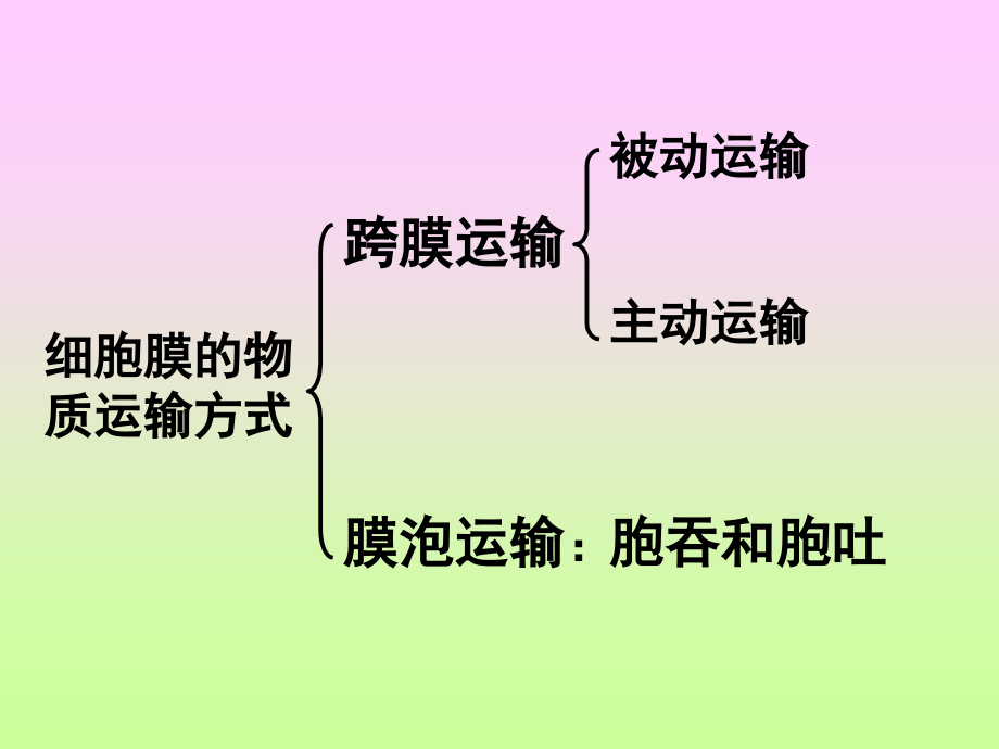 细胞膜的物质运输功能(课堂PPT).ppt_第2页