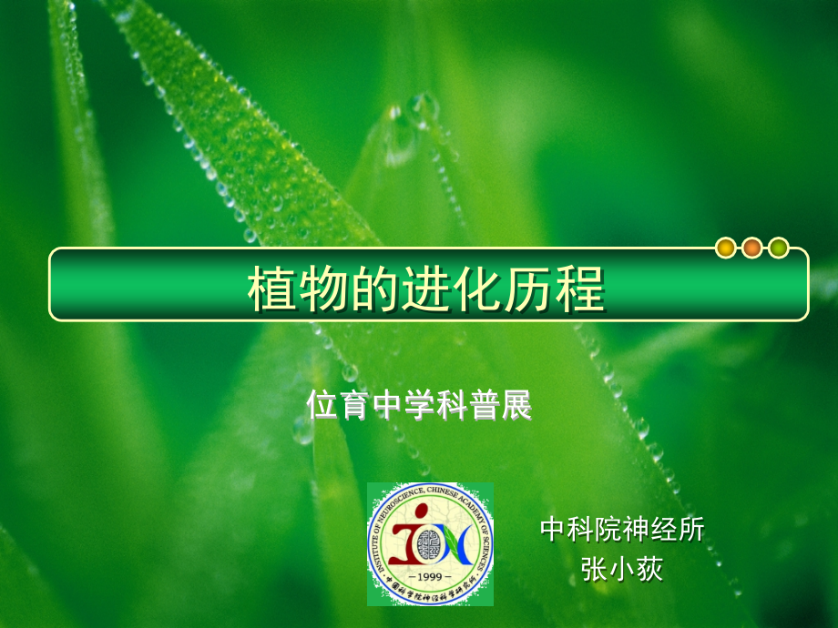 植物的进化历程(课堂PPT).ppt_第1页