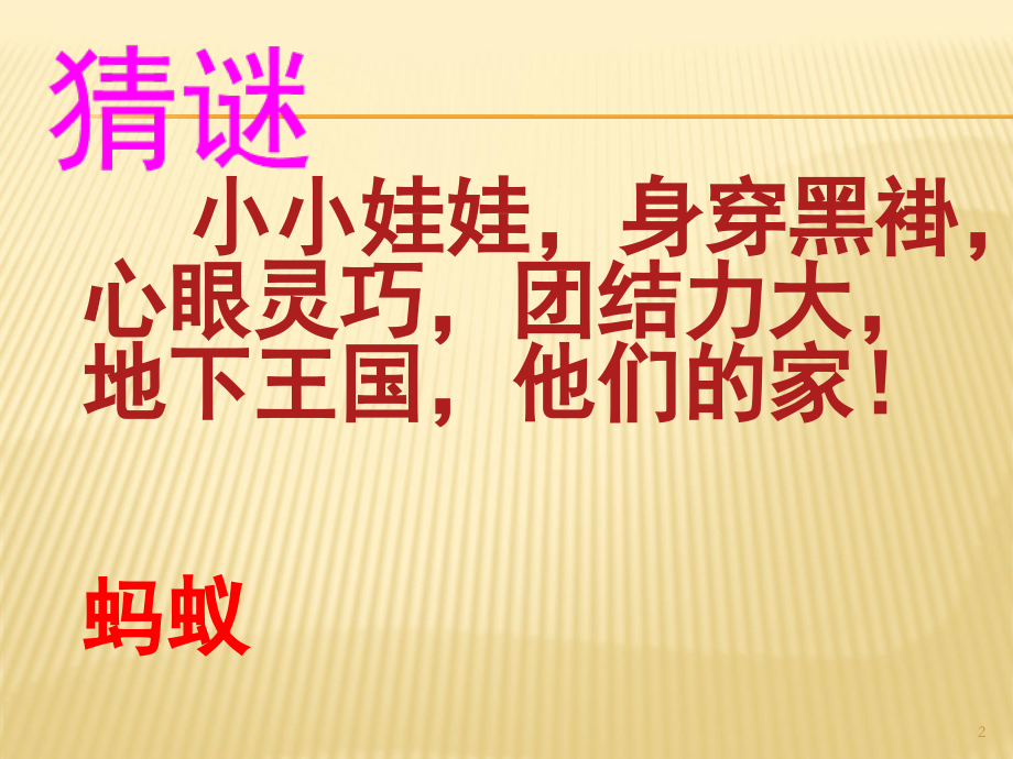 湘教版小学美术一年级下册地下王国(课堂PPT).ppt_第2页