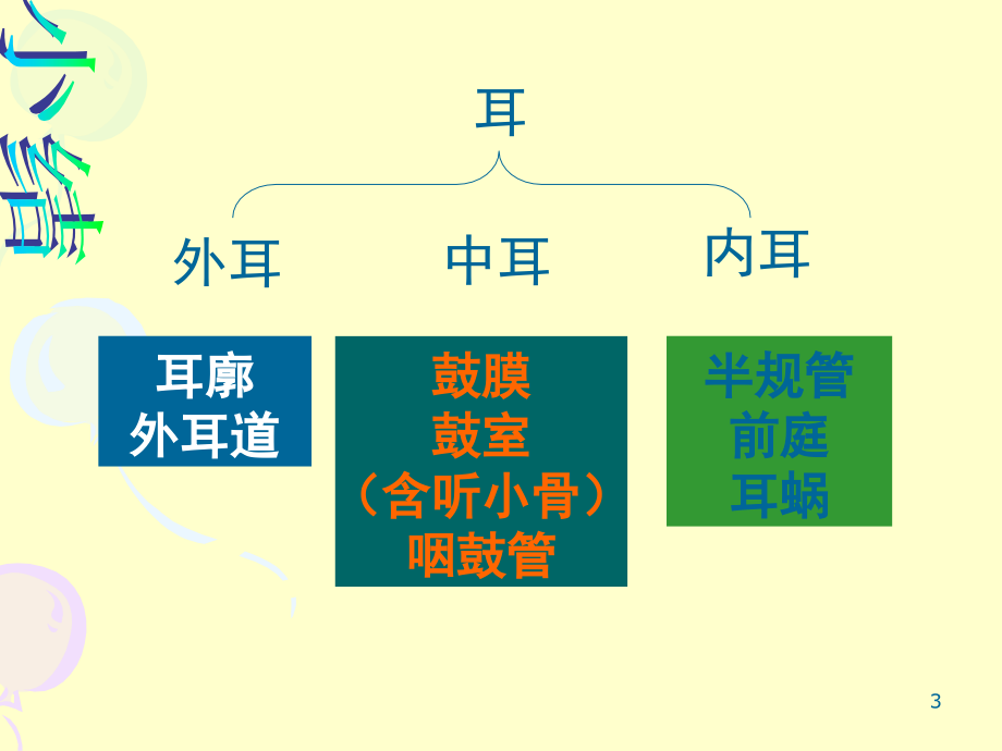 耳的结构与听觉的形成.ppt_第3页