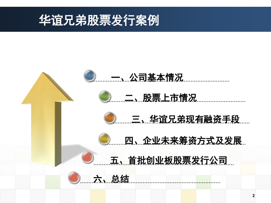 股票发行案例分析(课堂PPT).ppt_第2页