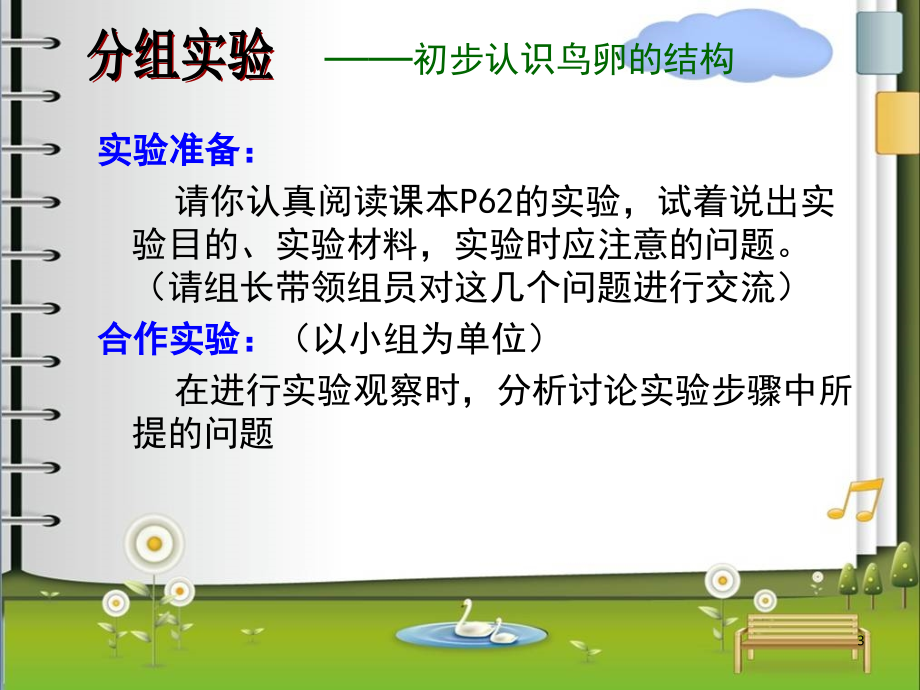 观察鸡蛋的结构实验(课堂PPT).ppt_第3页