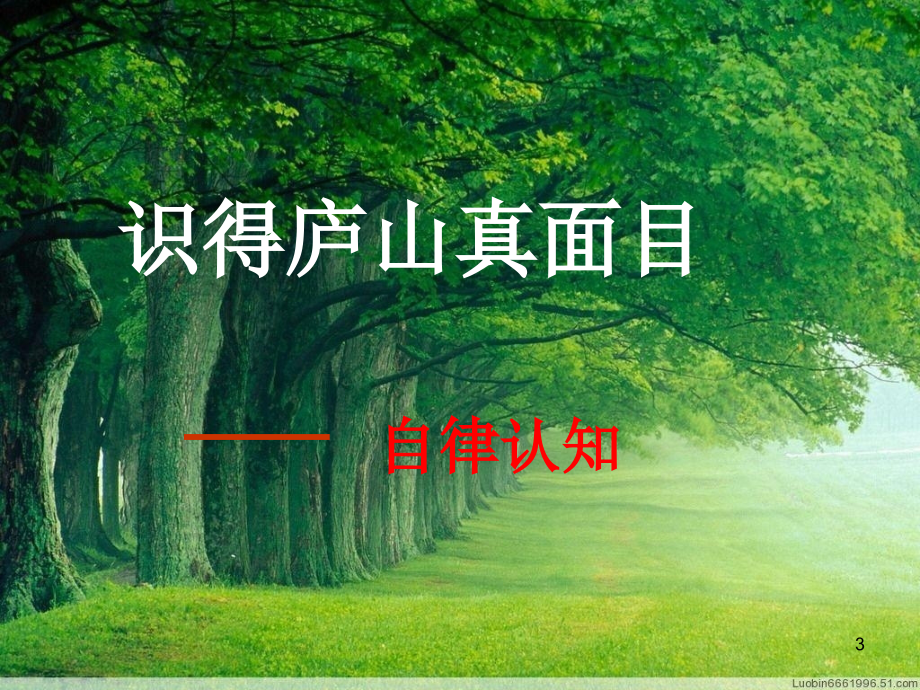 行为自律主题班会演示课件.ppt_第3页