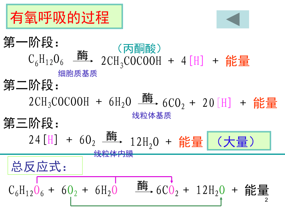 酵母菌细胞呼吸方式.ppt_第2页