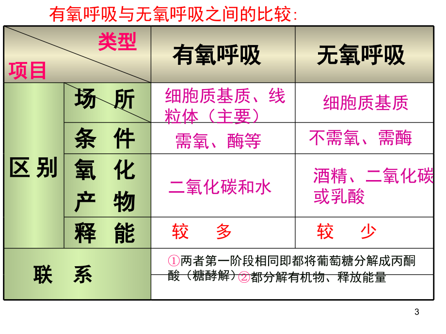 酵母菌细胞呼吸方式.ppt_第3页