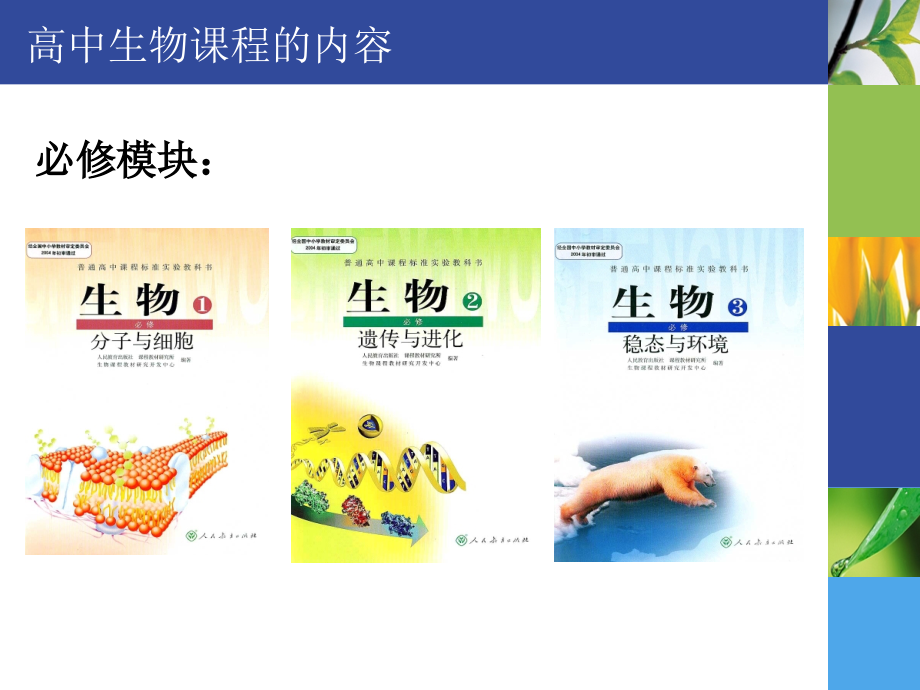 生命活动离不开细胞课件.ppt_第2页