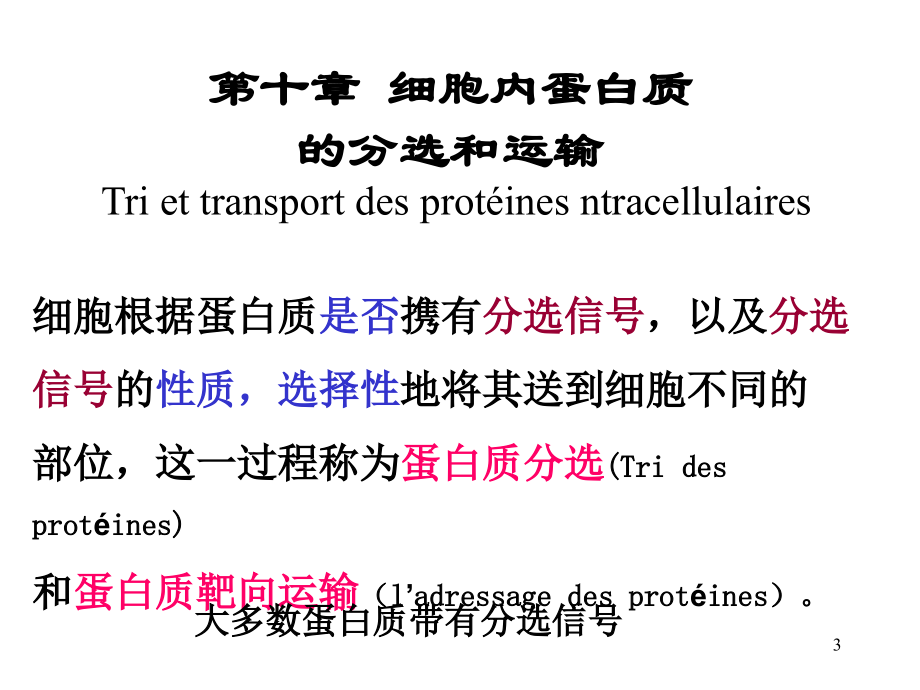 细胞内蛋白质的分选和运输细胞生物学(课堂PPT).ppt_第3页