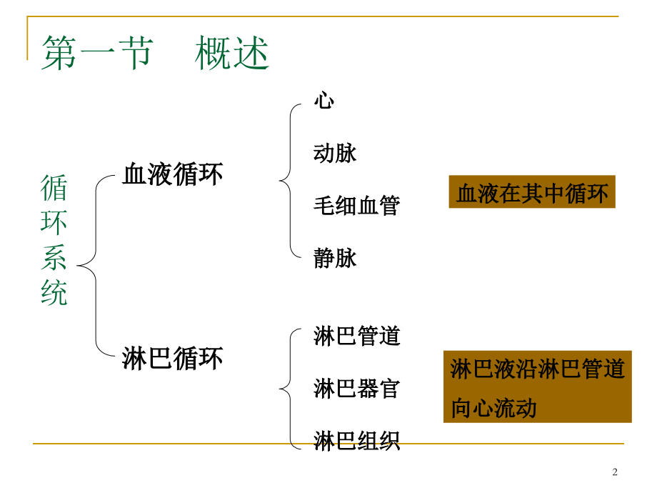 心血管系统解剖PPT参考课件.ppt_第2页