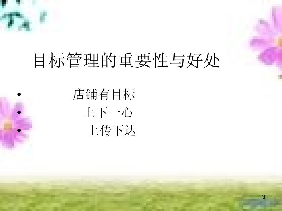 提升店铺业绩的方法-文档资料.ppt_第3页