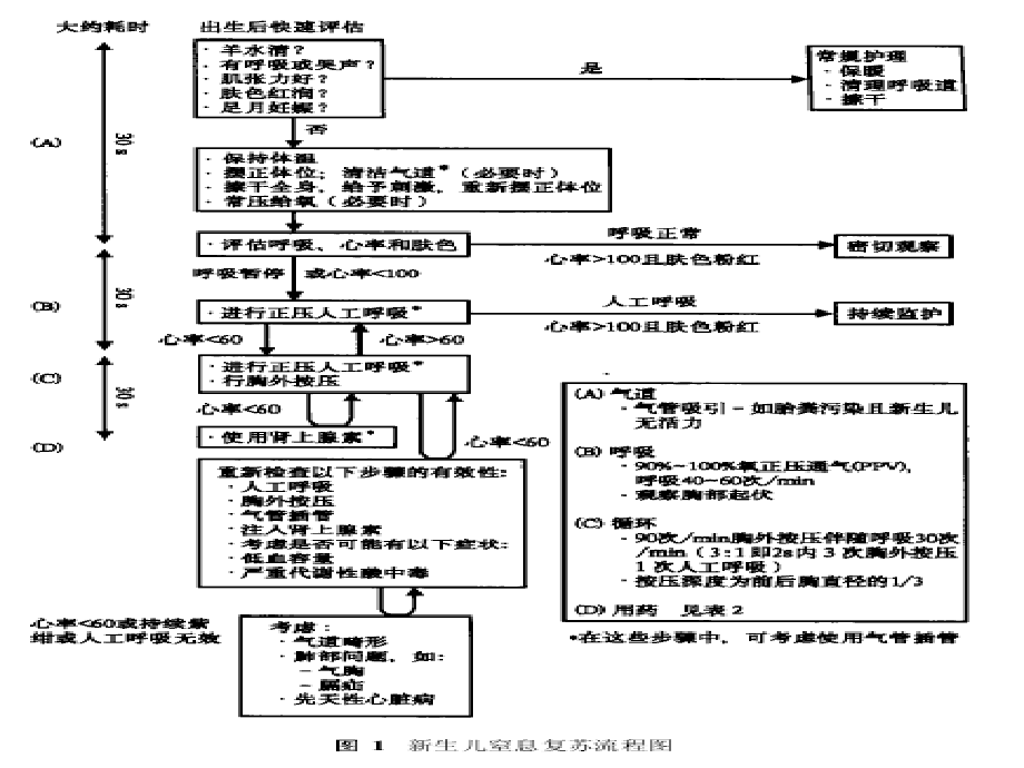 新生儿专业复苏技术演示课件.ppt_第2页