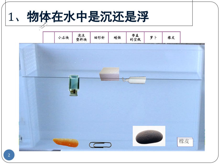 小学科学五年级下—总复习(课堂PPT).ppt_第2页