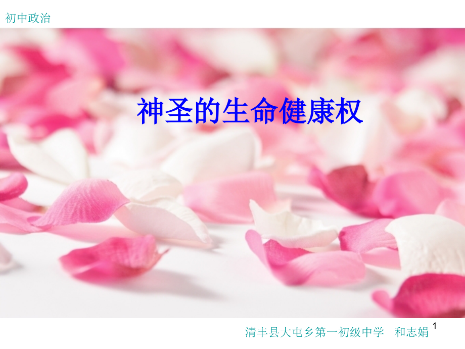 神圣的生命健康权课件PPT.ppt_第1页