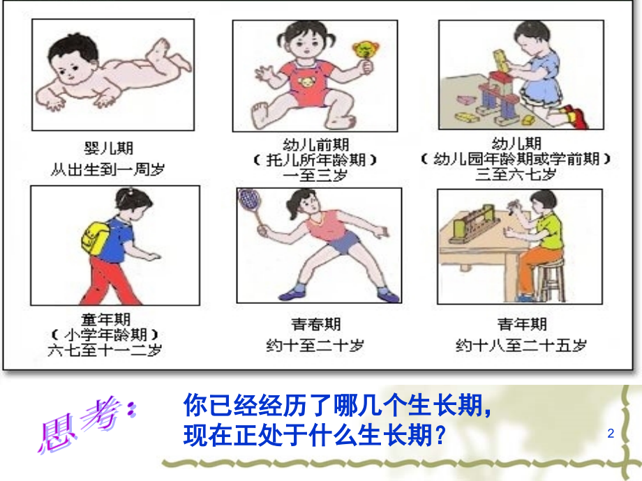 小学生青春期健康知识讲座(女孩)(课堂PPT).ppt_第2页