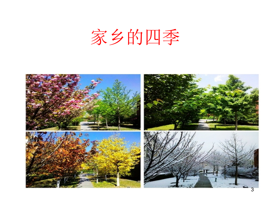 我爱家乡的四季.ppt_第3页