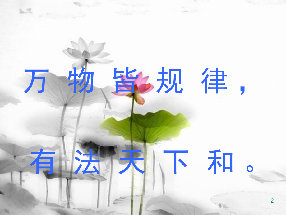 词性复习.公开课(超级全面).ppt_第2页