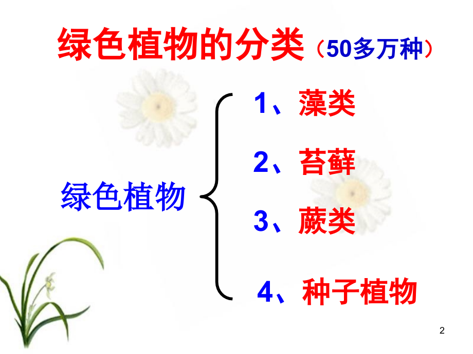 第一节藻类、苔藓和蕨类植物PPT.ppt_第2页