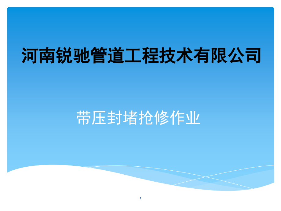 带压封堵流程-文档资料.ppt_第1页