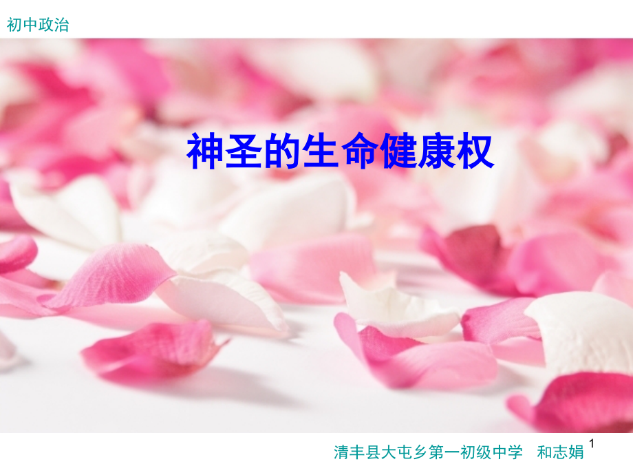 神圣的生命健康权(课堂PPT).ppt_第1页