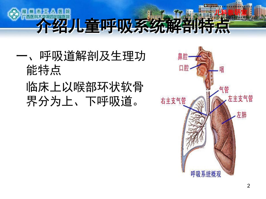 儿童呼吸系统解剖、生理特点课件.ppt_第2页