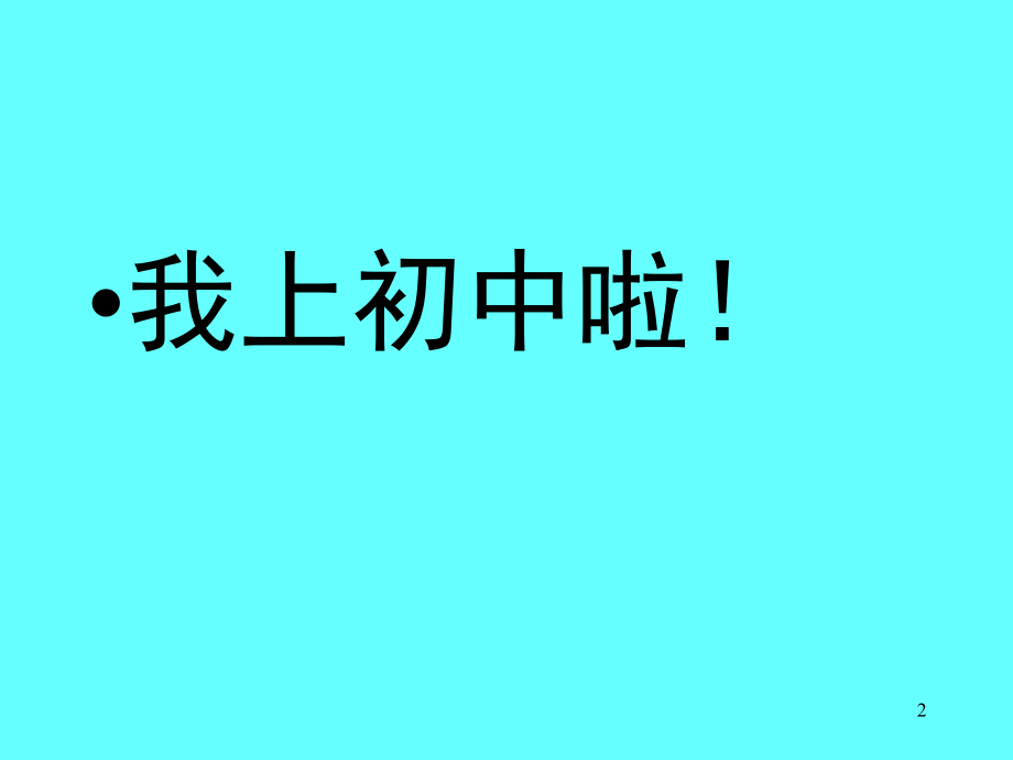 小学语文与初中语文的衔接(课堂PPT).ppt_第2页