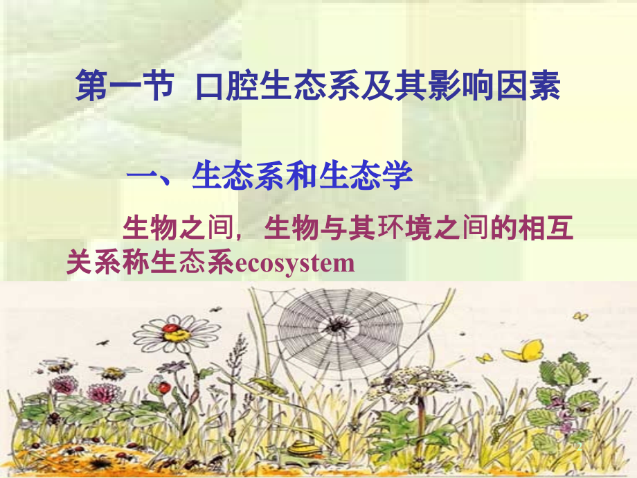 口腔微生物学幻灯片.ppt_第2页